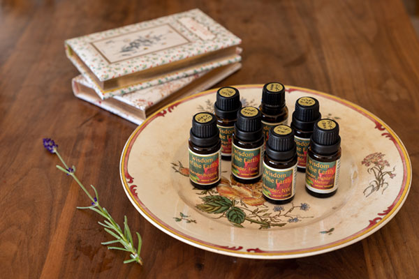 滋賀県水口のアロマテラピースクールGRASSE