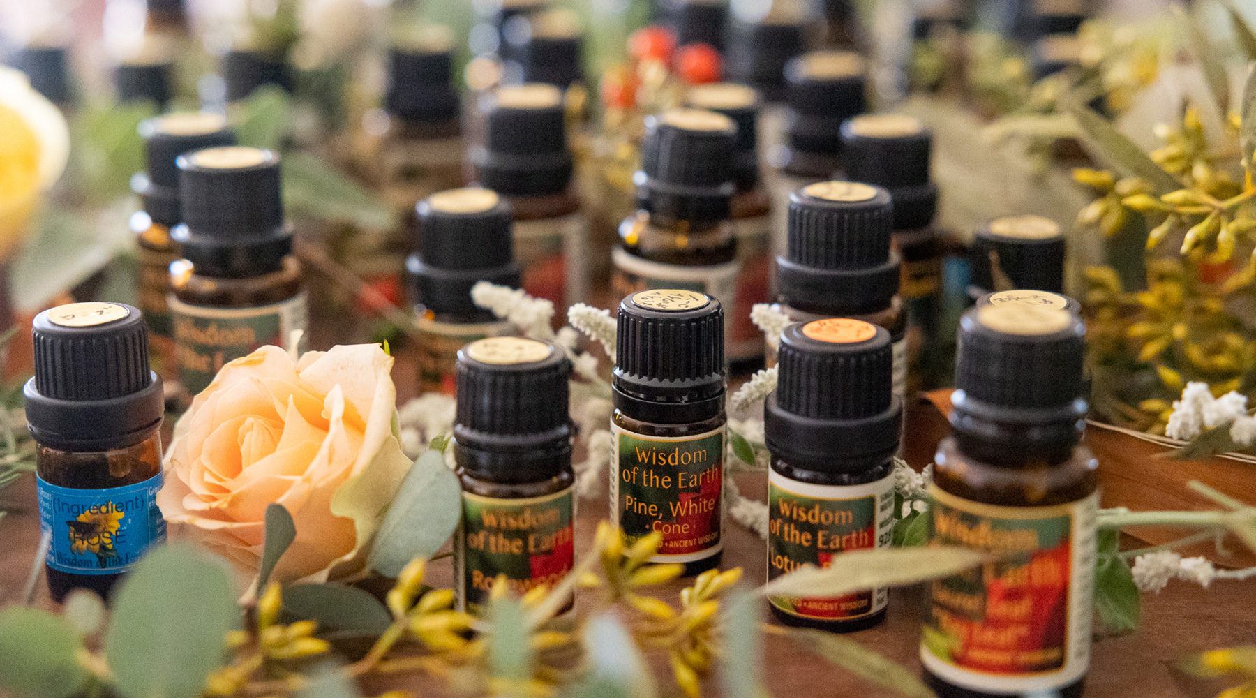 滋賀県水口のアロマテラピースクール「GRASSE」